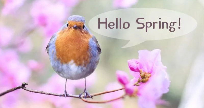 2020年春天，換一股新鮮勁，宅家更享受！