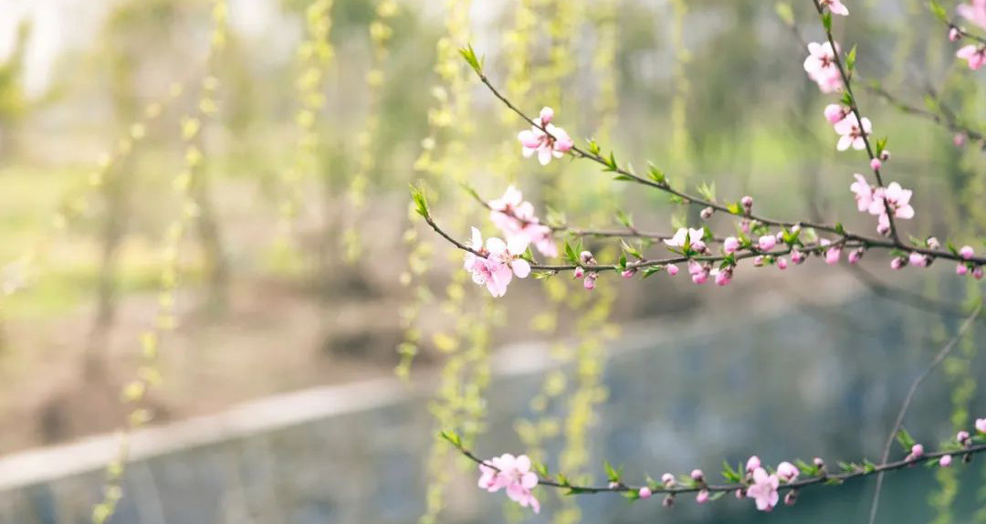 春天來(lái)啦！用“新”喚醒家里的新氣象