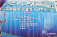 發(fā)揚體育拼搏精神，更快更高更強——匯泰龍大力贊助“粵港澳”杯羽毛球大賽